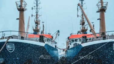 hederik-kolk-evu9auiTEwg-unsplash