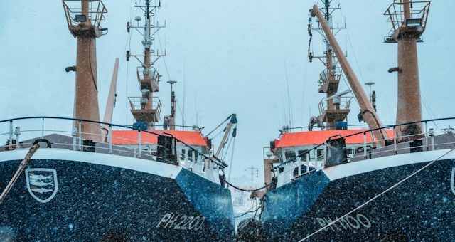 hederik-kolk-evu9auiTEwg-unsplash